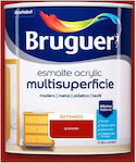 Bruguer Special Cleaner 750ml 535228