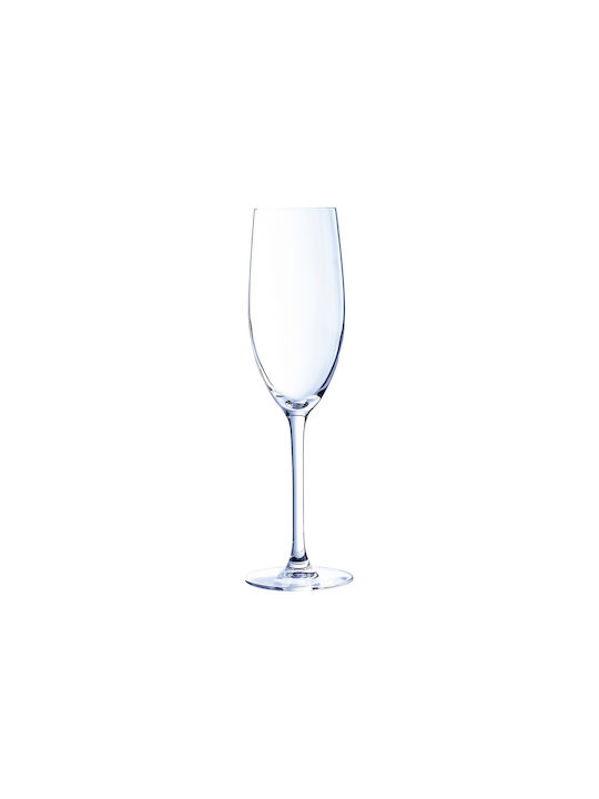 Cayler & Sons Glas Champagner aus Glas Kelch 240ml 1Stück
