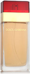 Dolce & Gabbana Pour Femme