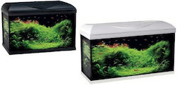 Croci Led Croci Led