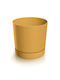 Prosperplast Пластмасов Пот Цвят Горчица с Подложка 14.8x14.8x14.7см