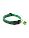 Dog Collar in Green color