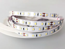 VK Lighting Ταινία LED Τύπου SMD3528