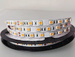 VK Lighting LED Strip SMD5050