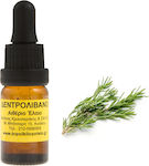 Το Ποικιλοπώλειο Ätherisches Öl Rosemary 10ml