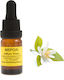 Ulei esențial de neroli 10ml