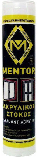 Mentor Acrilic Adeziv Mastic Alba 280ml 1buc