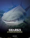 Sharks And Underwater Predators