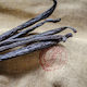 HealthTrade Bourbon Vanille in Samenform 250gr
