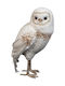 Lianos Christmas Figure Owl Height 32cm