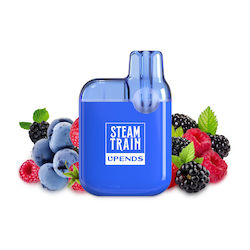 Steam Train Disposable E-Cigarette 600 Puffs Mr...