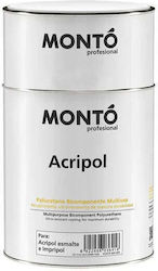 Monto Impregnation Varnish Polyurethane 2-Component Solvent Based Gloss