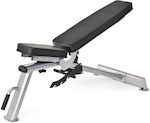 Horizon Fitness Adjustable Workout Bench