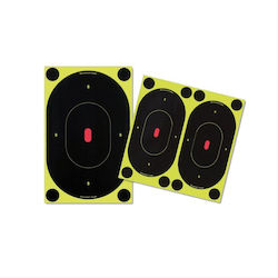 Birchwood Casey Target