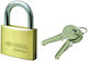 Cisa Padlock Brass with Key 25mm 1pcs