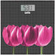Laica Digital Bathroom Scale PS1075L
