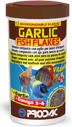 Prodac Tropical Fish Food Flakes 100ml 20gr