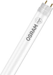 Osram Fluorescent Lamp for Socket G13 with Shape T8 18.3W