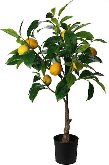 Zitronenbaum in Topfpflanze
