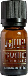 Ethra Essentials Essential Oil Eucalyptus 10ml