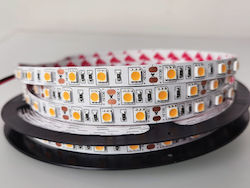 VK Lighting LED Strip Type SMD5050