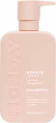 Monday Haircare Repair Trocken Shampoo 354ml
