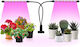 Επιτραπέζιο Grow Light με LED