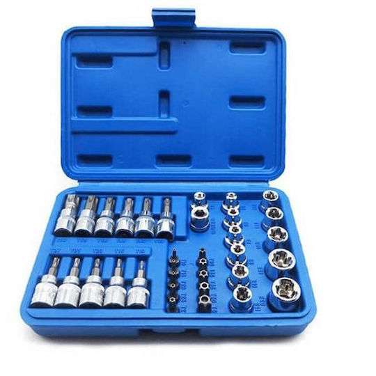Walnut with Torx Head and Socket 1/4'' T10 34pcs