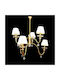 DITS Lighting Πολυέλαιος με Κρύσταλλα D2-30659-2406-00