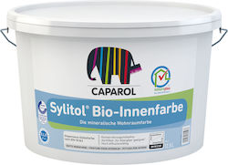 Caparol Sylitol Bio Interior Paint Silicate Paint Caparol Sylitol Bio Interior Paint Silicate Paint
