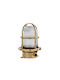 Andromeda Outdoor Ceiling Light in Bronze Color A55-11