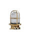 Andromeda Outdoor Ceiling Light in Bronze Color A55-10