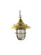 Andromeda Outdoor Hanging Ceiling Light in Bronze Color A55-74Κ