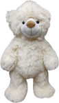 Plush Bear 45 cm