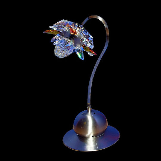 DITS Lighting Dekorative Lampe