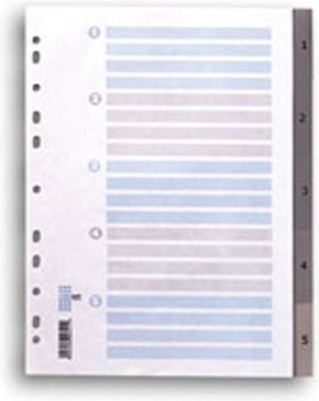 Neohart Plastic Dividers for Documents A4