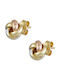 Earrings made of Gold 14K