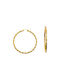 Earrings Hoops made of Steel Gold Plated