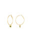 Earrings Hoops made of Steel Gold Plated