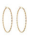 Earrings Hoops Gold Plated