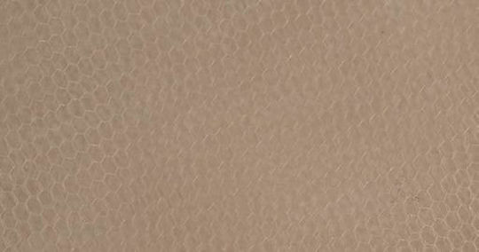 Ntampoudis Плат за Декорация Тюл 180x5000бр Бежов