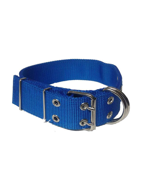 Hundehalsband in Blau Farbe