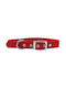 Funky Pet Dog Collar in Red color 35.5cm