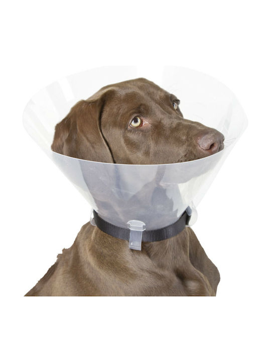 Kerbl Hundehalsband aus in Transparent Farbe 33cm