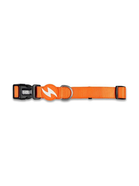 Dashi Dog Collar in Orange color Small