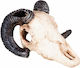 Happet Aquarium Decoration Skull
