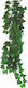 Happet Terrarium Hedera Helix 70cm Lebende Aquariumspflanze