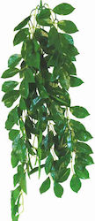 Happet Terrarium Ficus 50см Живо Аквариумно Растение 0F17