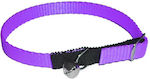 Cat Collar 30cm