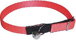 Cat Collar 30cm